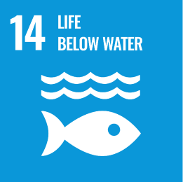 14 Let's protect the abundance of our oceans!